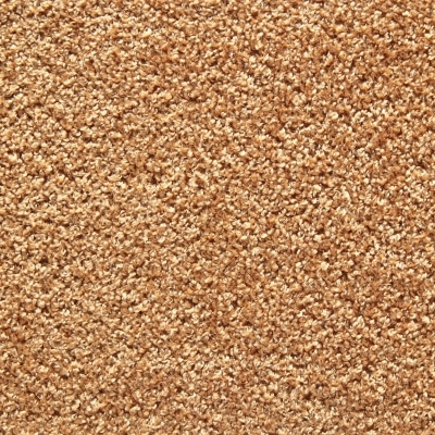 carpet pic